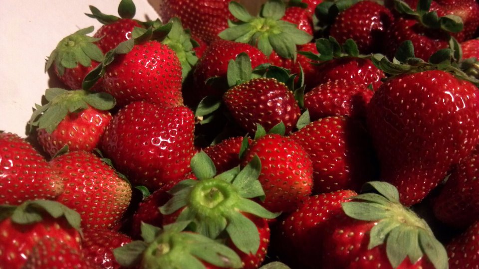 Red Brick - Strawberries - Georgia's Magnolia Midlands